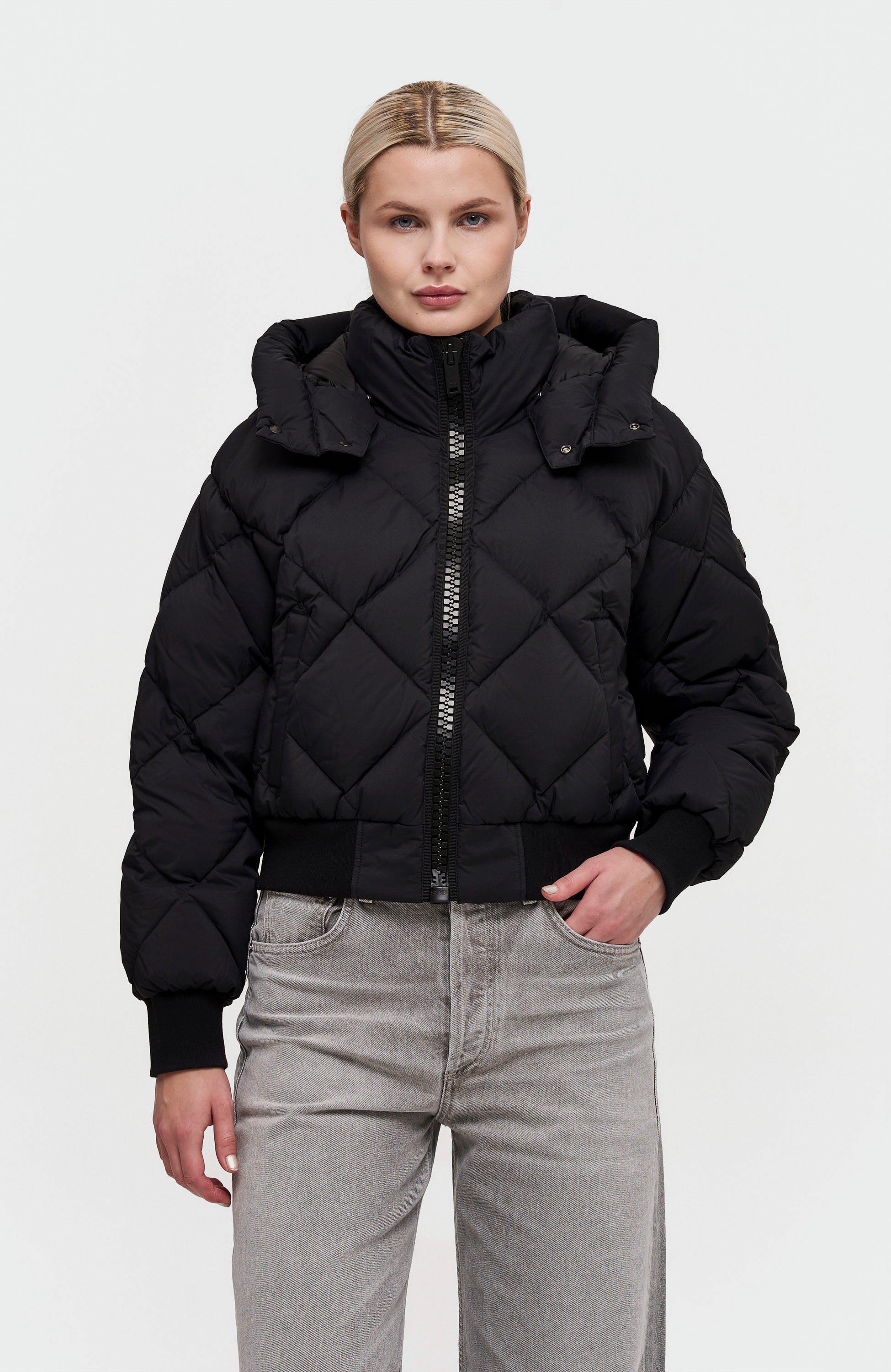 Moose knuckles Black Kerge polsterdatud jope bankhead image 1