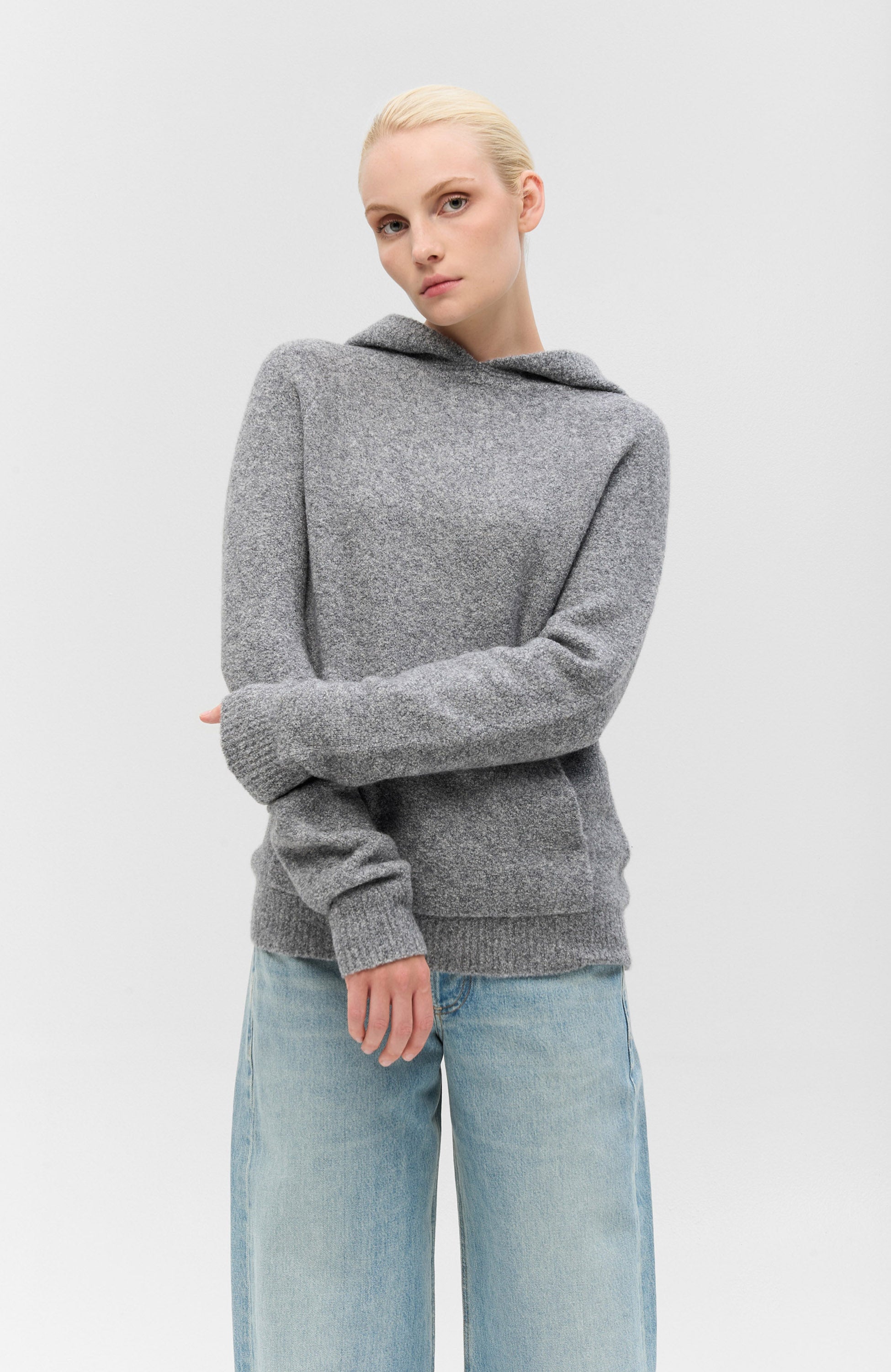 Lisa yang Grey Bukleest kapuutsiga pusa ivy image 3