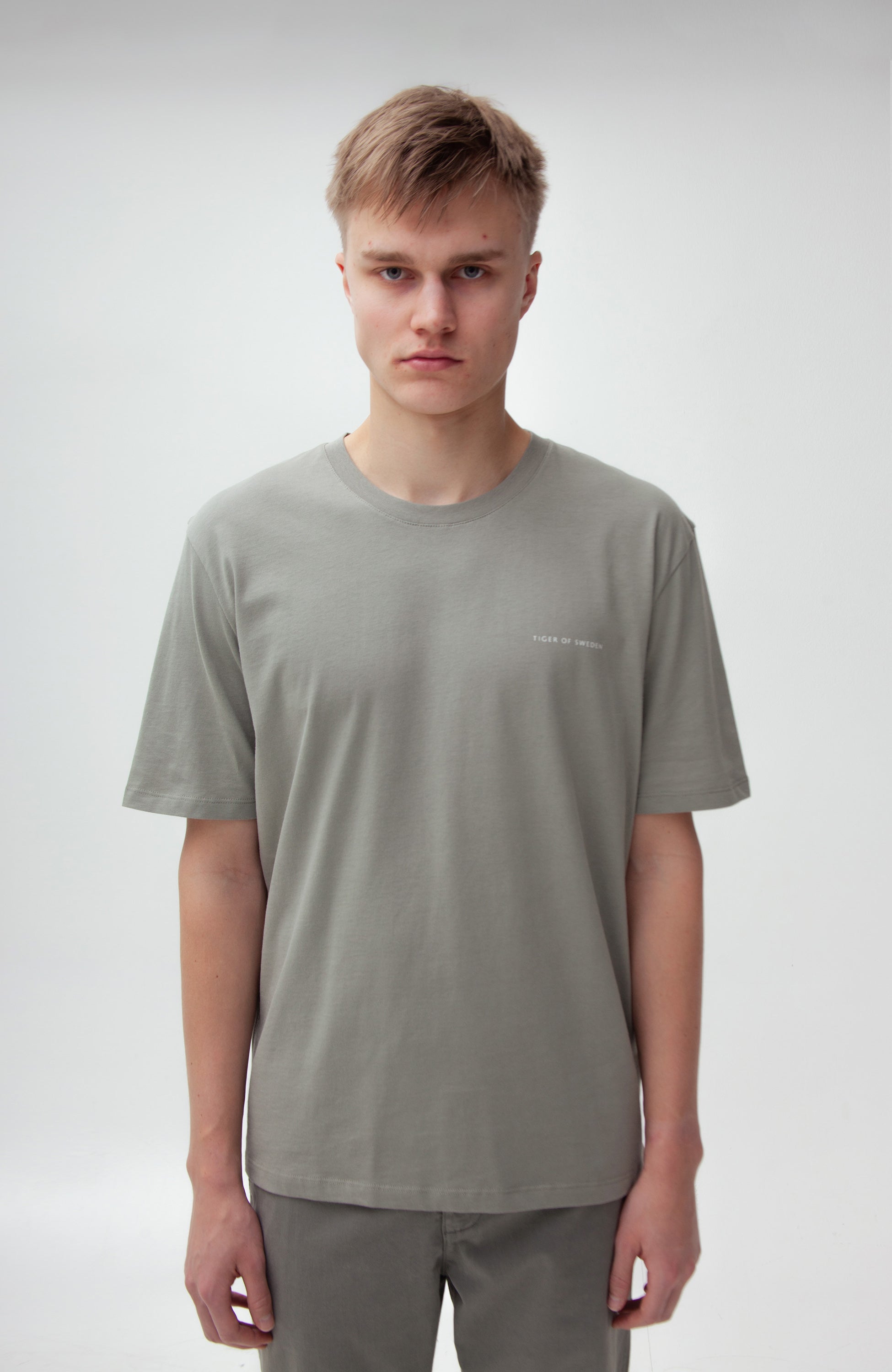 Tiger of sweden Green Relaxed-fit t-shirt pro image 1