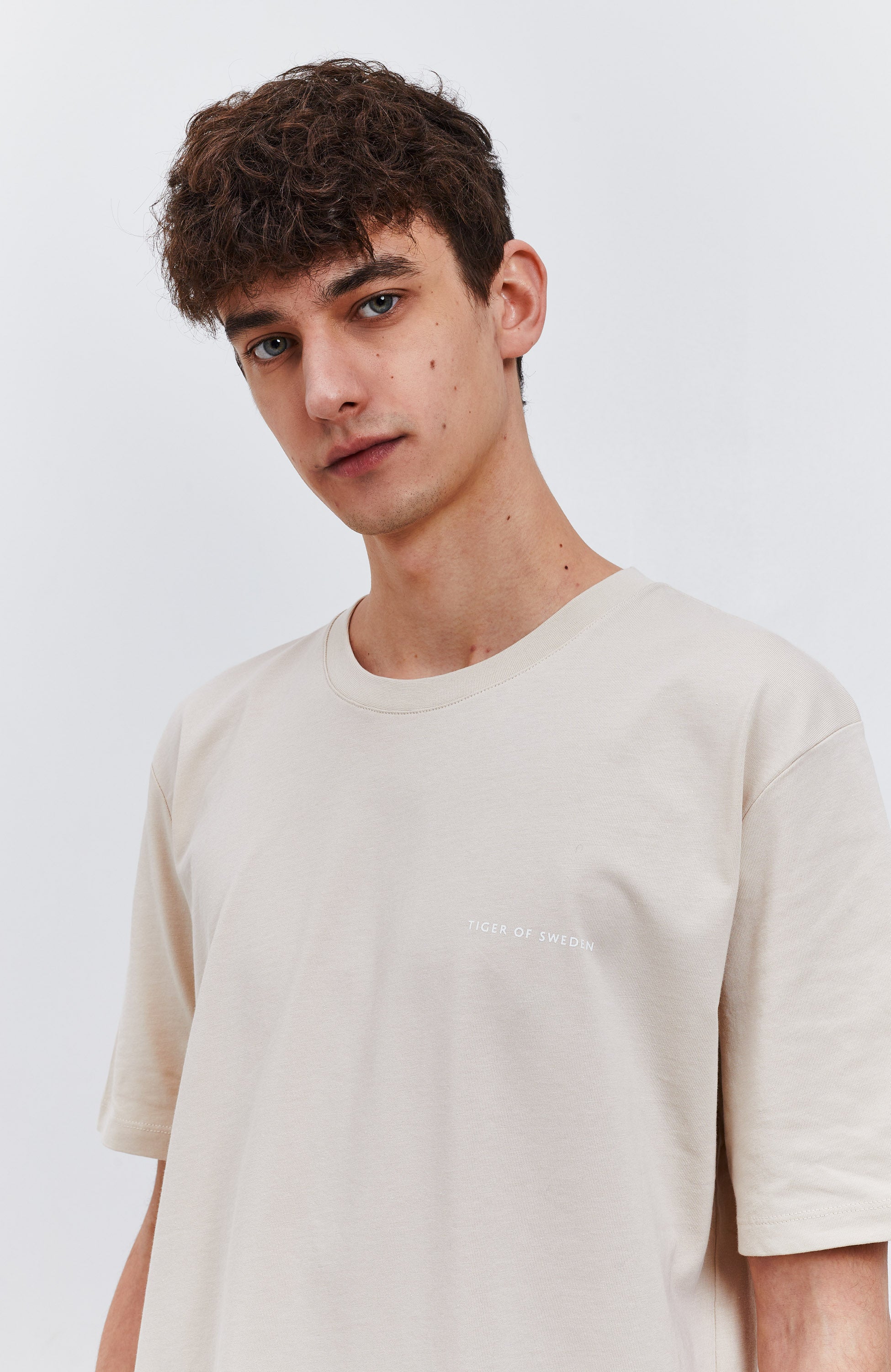 Tiger of sweden Neutral Relaxed-fit t-shirt pro image 2
