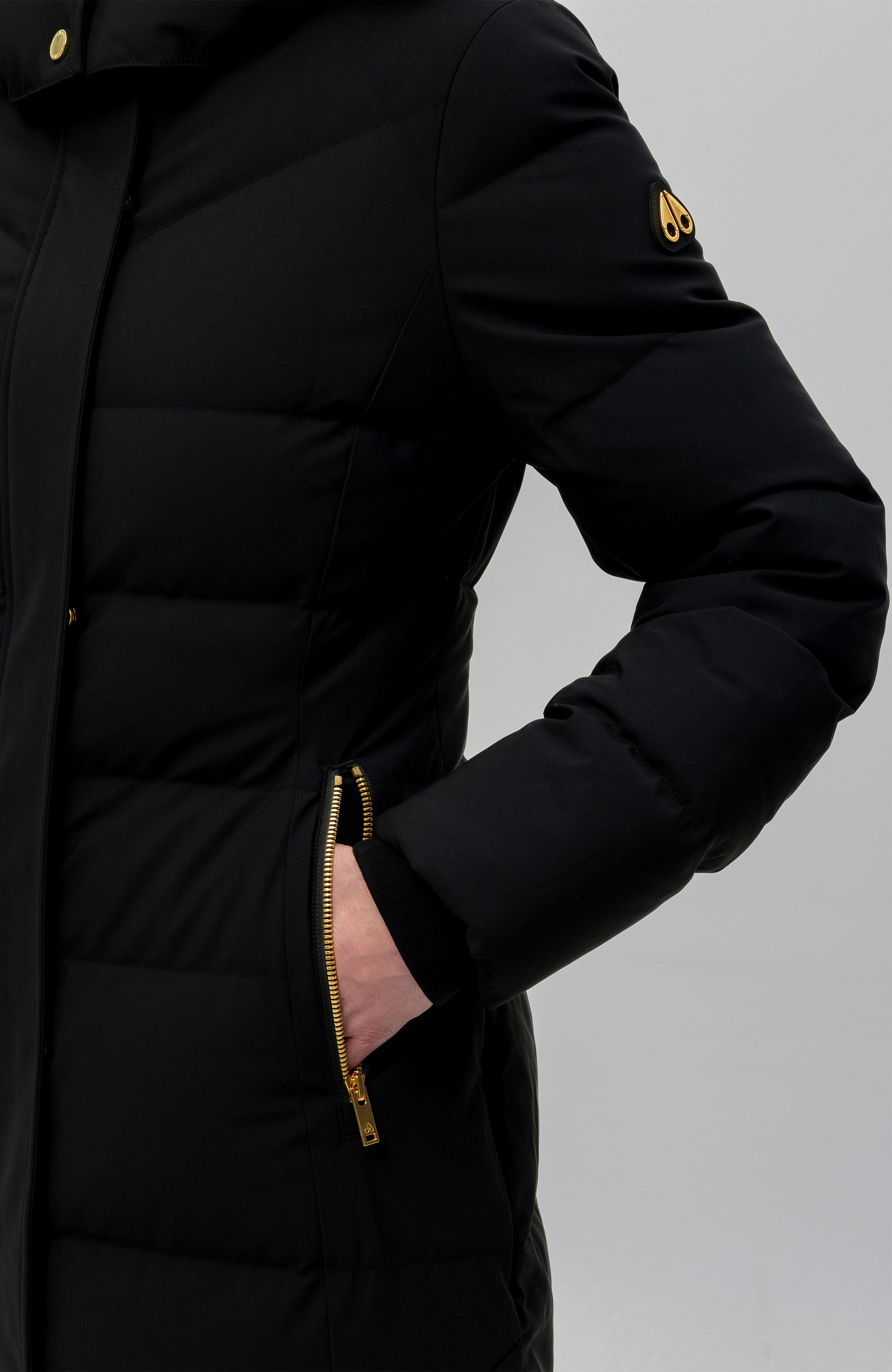 Moose knuckles Black Hooded down parka jocada gold image 6